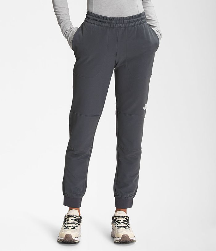 The North Face Pants Tekware® Fleece Grey - Womens - Thailand JHTZM-6495